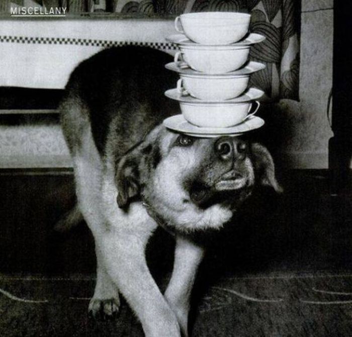 Weird and Funny Retro Photos. Part 3 (49 pics)