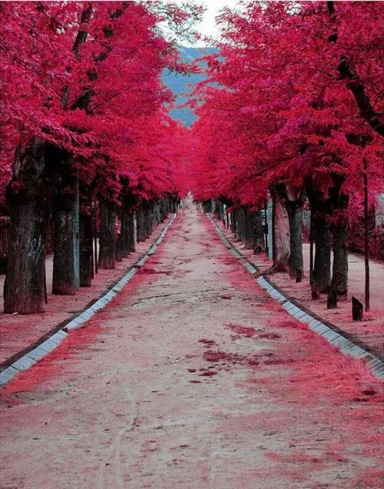 Acid Picdump (98 pics)