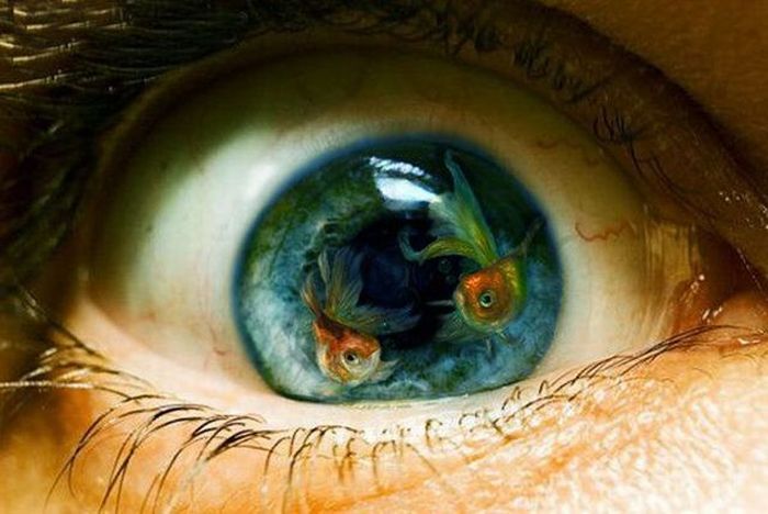 Acid Picdump (98 pics)