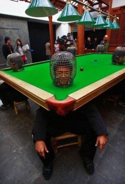 Acid Picdump (98 pics)