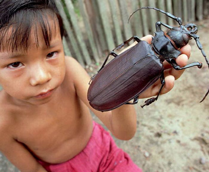 Acid Picdump (98 pics)