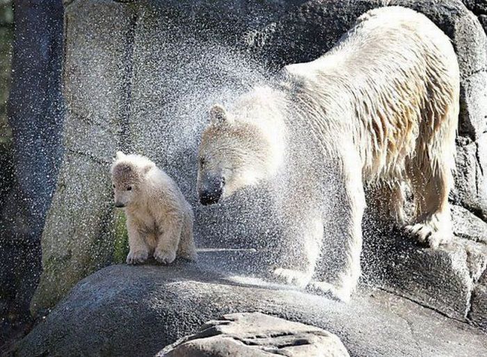 Acid Picdump (98 pics)