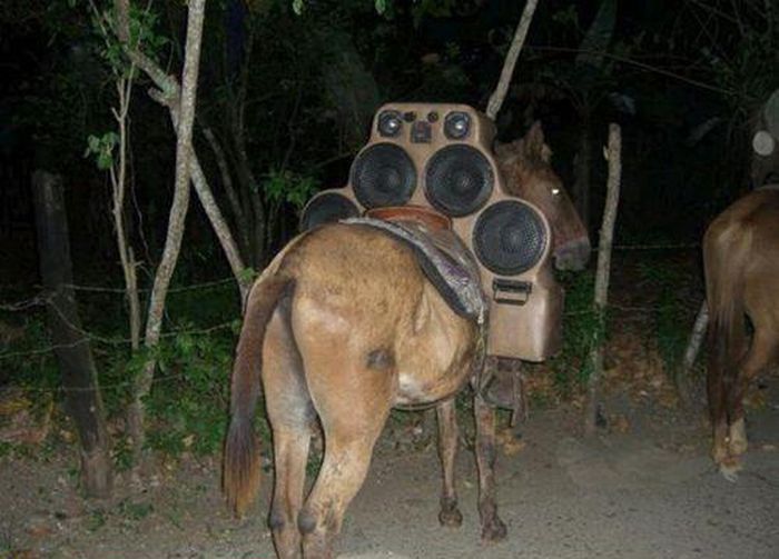 Acid Picdump (98 pics)