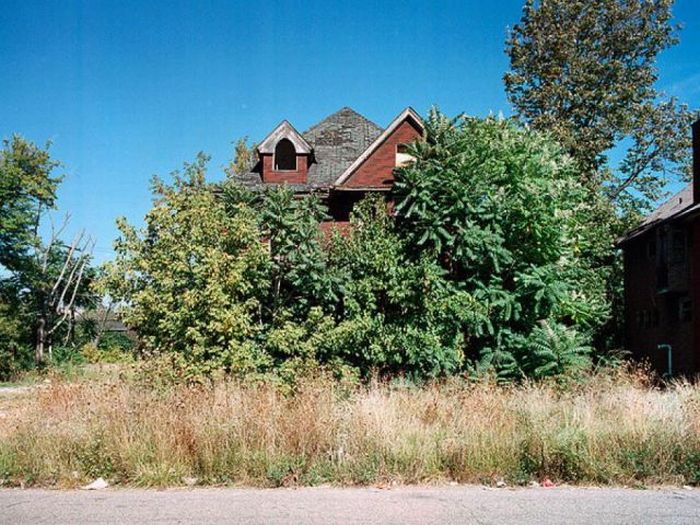 Abandoned Detroit Homes for Sale (98 pics)