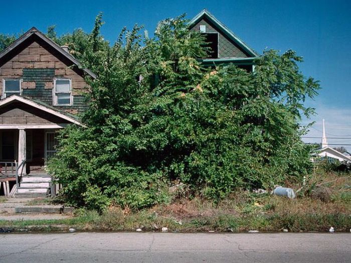 Abandoned Detroit Homes for Sale (98 pics)