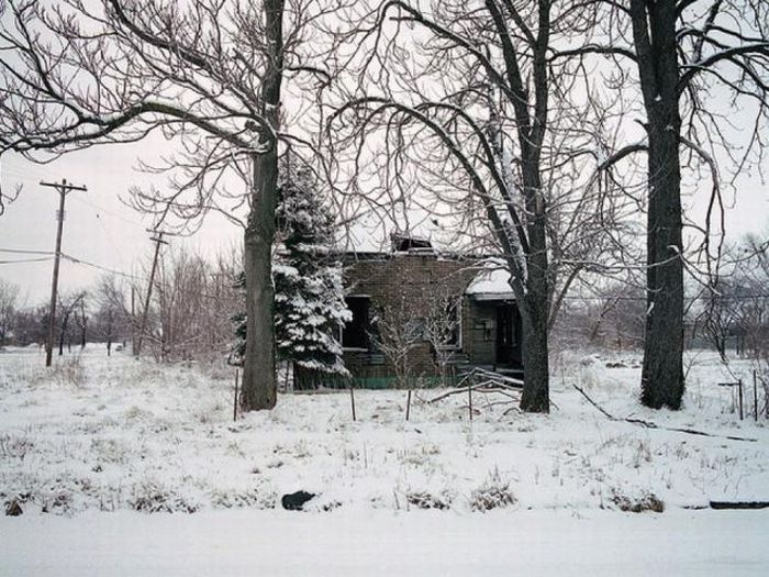 Abandoned Detroit Homes for Sale (98 pics)