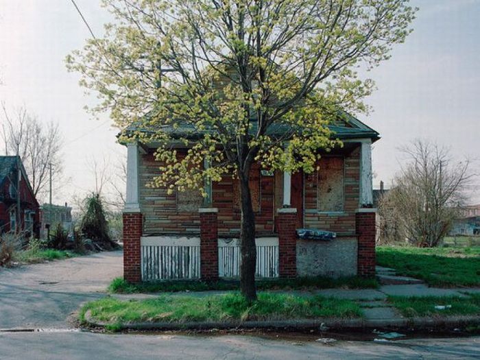 Abandoned Detroit Homes for Sale (98 pics)