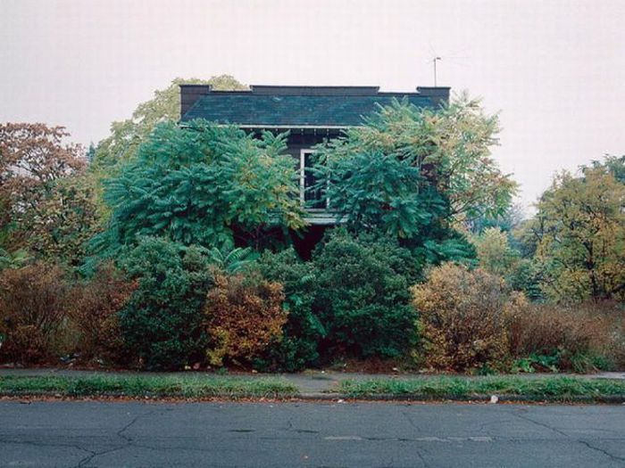 Abandoned Detroit Homes for Sale (98 pics)