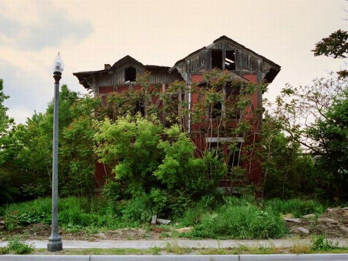 Abandoned Detroit Homes for Sale (98 pics)