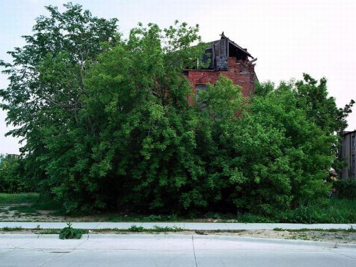 Abandoned Detroit Homes for Sale (98 pics)