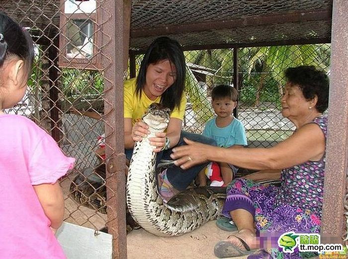 Playing with a Large Snake (8 pics)