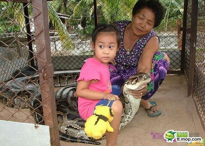 Playing with a Large Snake (8 pics)