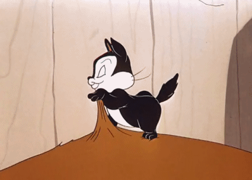 Cat GIFs (11 gifs)