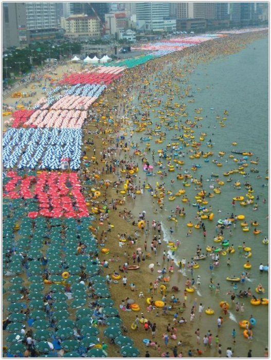 Beach in South Korea (12 pics)