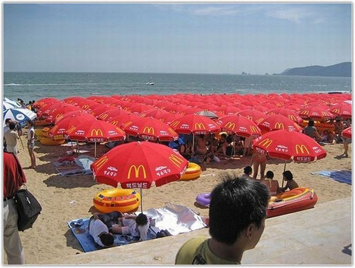 Beach in South Korea (12 pics)
