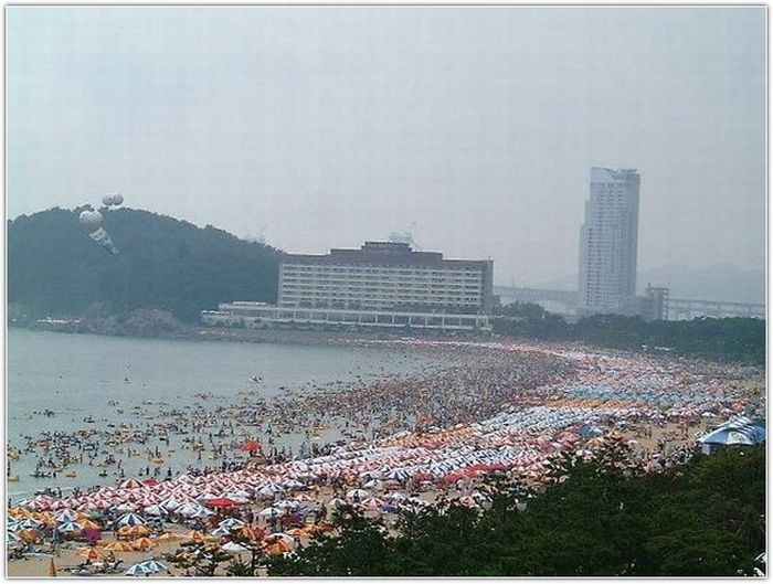 Beach in South Korea (12 pics)