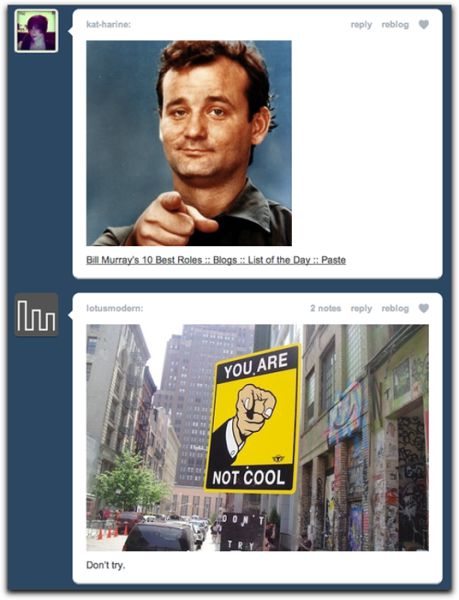 Funny Tumblr Dashboard Coincidences (49 pics)
