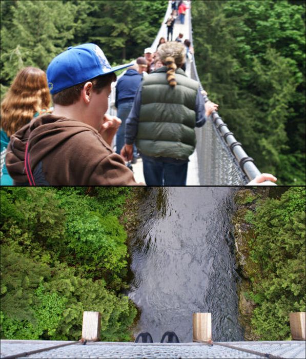 Fascinating Capilano Suspension Bridge (22 pics)