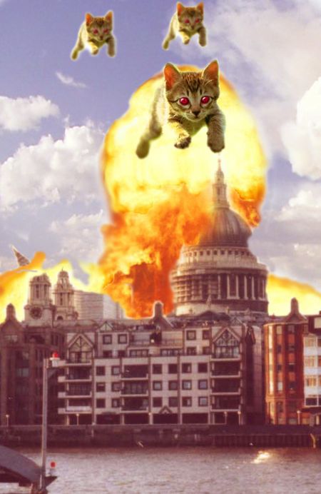 The World Will End With Catzilla Atack (25 pics)