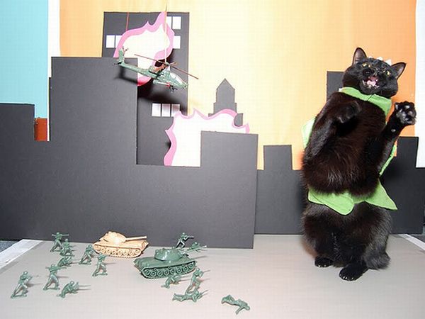 The World Will End With Catzilla Atack (25 pics)