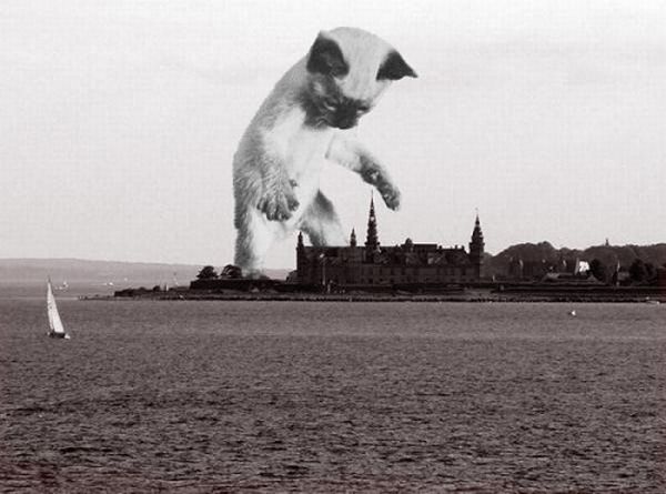 The World Will End With Catzilla Atack (25 pics)