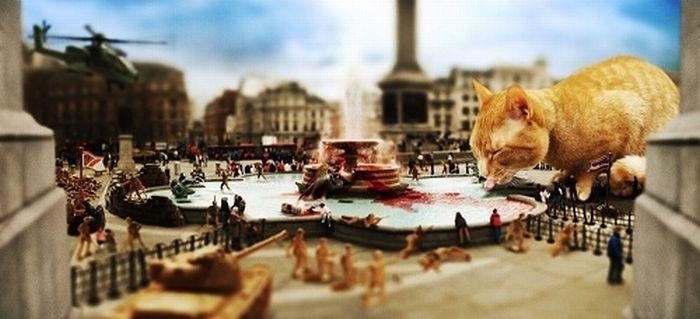 The World Will End With Catzilla Atack (25 pics)