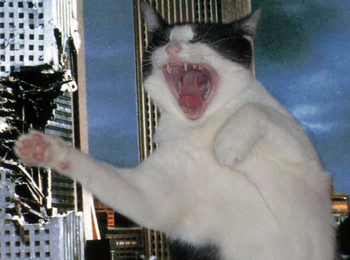 The World Will End With Catzilla Atack (25 pics)