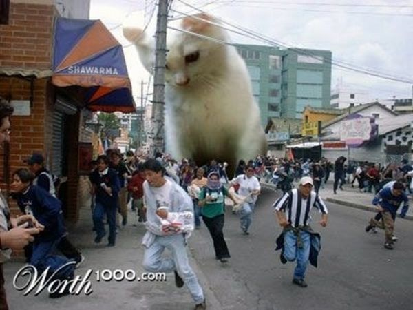 The World Will End With Catzilla Atack (25 pics)