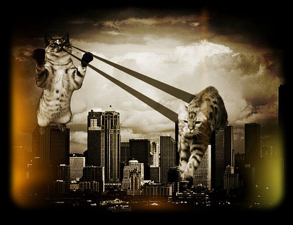 The World Will End With Catzilla Atack (25 pics)
