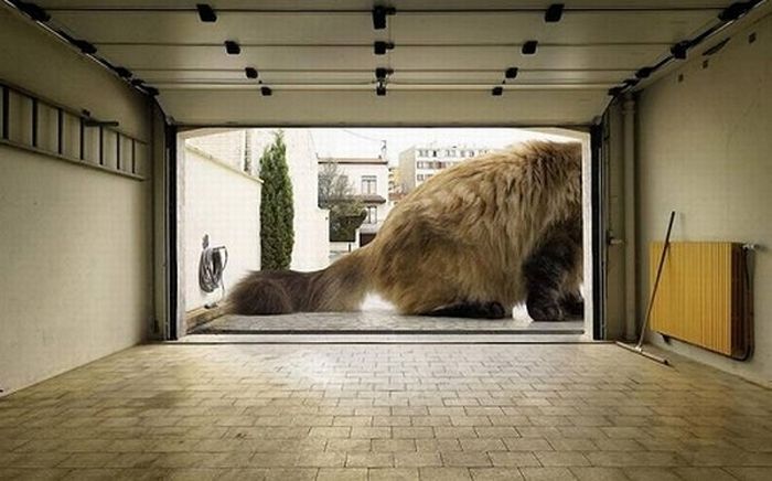 The World Will End With Catzilla Atack (25 pics)