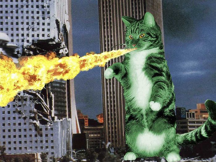 The World Will End With Catzilla Atack (25 pics)