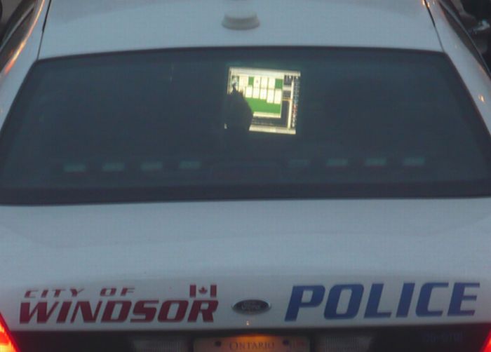 Cops Like To Play Solitaire (9 pics)