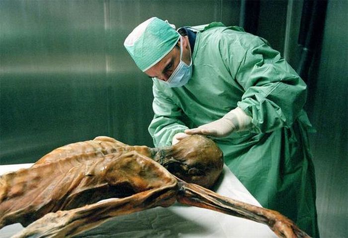 Reconstruction of 5,000 Year Old Iceman (4 pics)