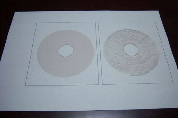 Toilet Paper Roll for the Fools Day (15 pics)