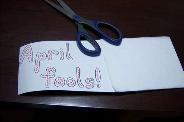 Toilet Paper Roll for the Fools Day (15 pics)