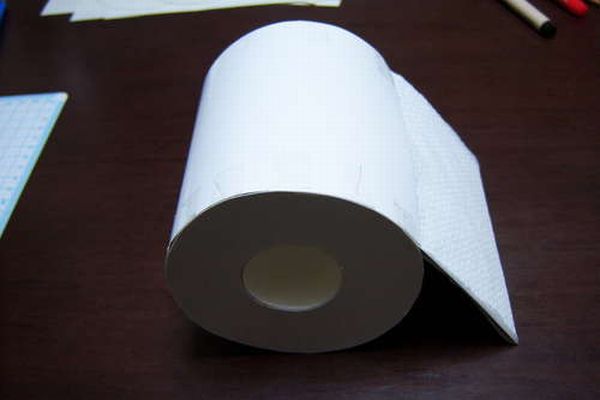 Toilet Paper Roll for the Fools Day (15 pics)
