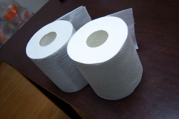 Toilet Paper Roll for the Fools Day (15 pics)