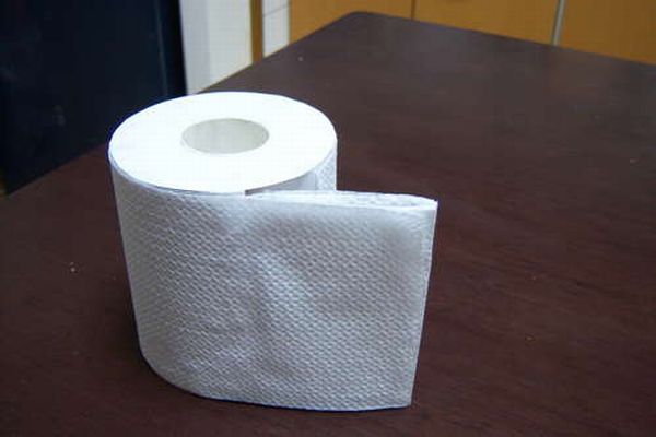 Toilet Paper Roll for the Fools Day (15 pics)