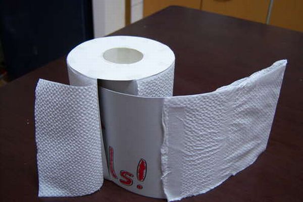 Toilet Paper Roll for the Fools Day (15 pics)