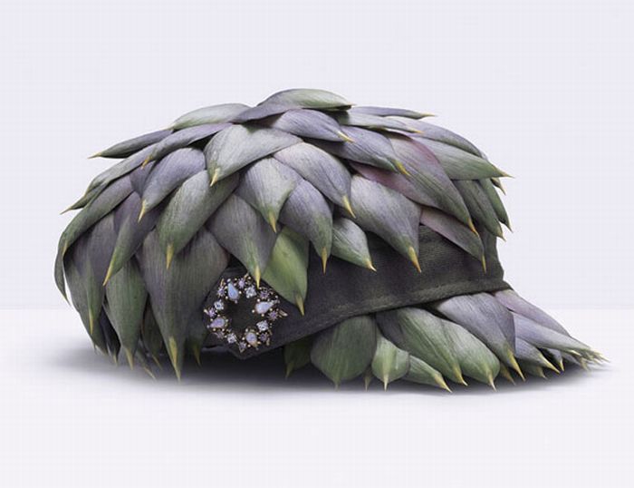 Delicious Fashion Accessories By Fulvio Bonavia (21 pics)