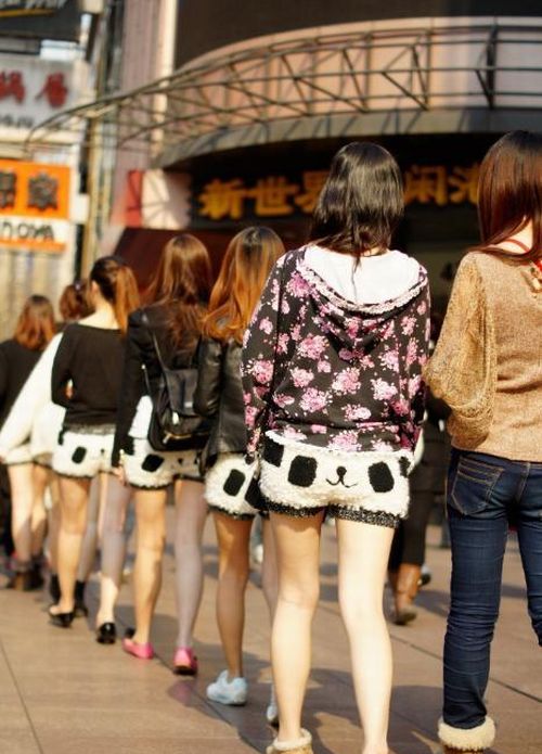 Panda Shorts (17 pics)