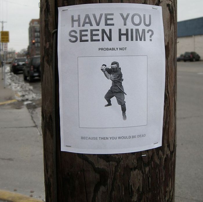 Funny Signs (19 pics)
