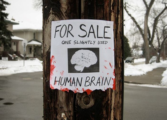Funny Signs (19 pics)