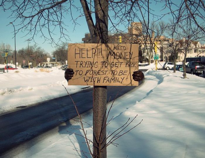 Funny Signs (19 pics)