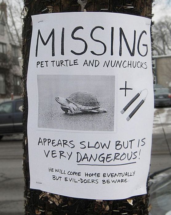 Funny Signs (19 pics)