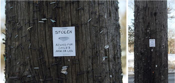 Funny Signs (19 pics)