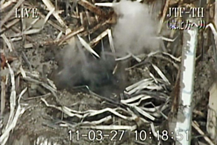 Fukushima Daiichi Nuclear Power Plant (60 pics)
