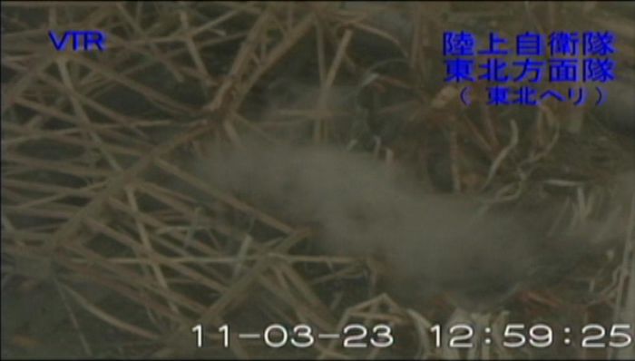 Fukushima Daiichi Nuclear Power Plant (60 pics)