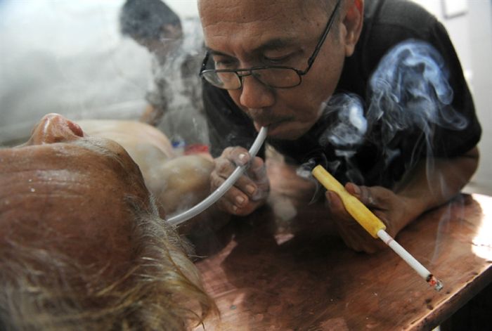 Tobacco Cure From Cancer (4 pics)