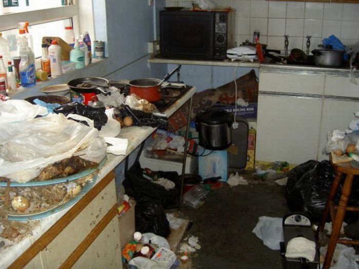 The Filthiest Kitchen of he World (5 pics)